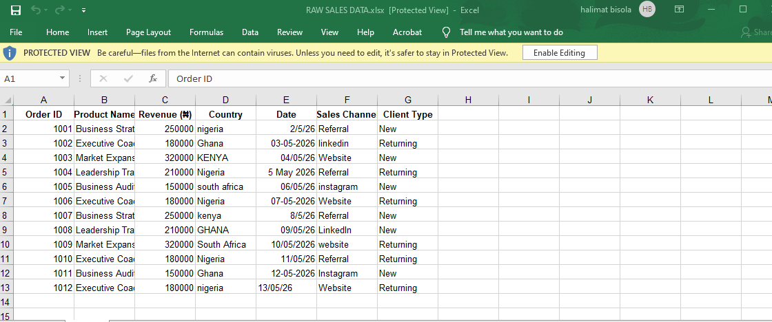 Excel-Raw Sales Data